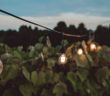 Kontroverses Weinfest am Rüdesheimer Platz: Regulatorische Maßnahmen sorgen für (Foto: AdobeStock - MARTA 448341984)