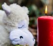 Alarmierender Anstieg der Totgeburten in Deutschland seit (Foto: AdobeStock - Animaflora PicsStock 101816912)